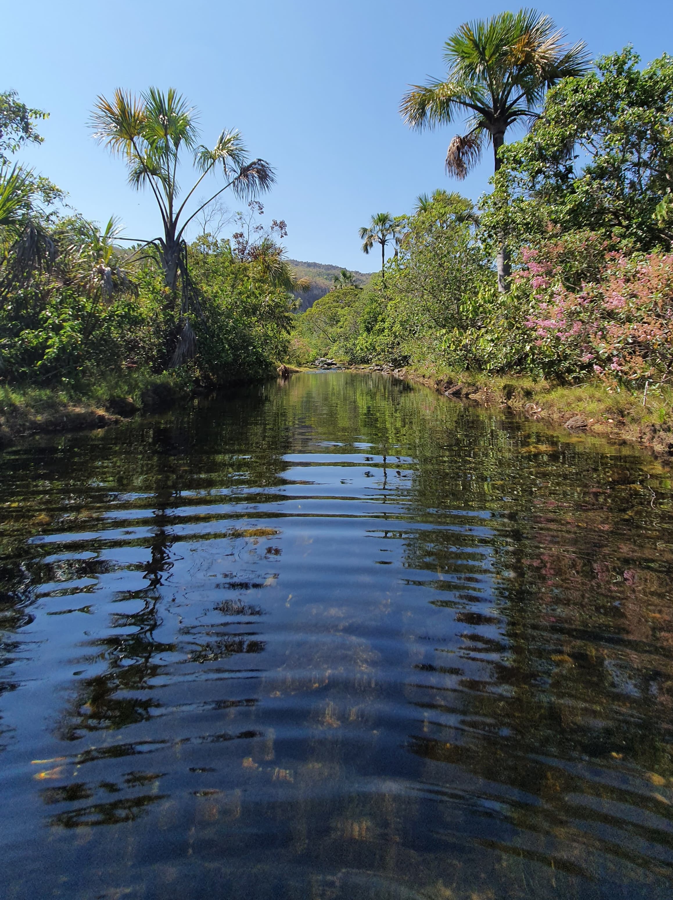 Rio de Pedras, ao fundo da propriedade