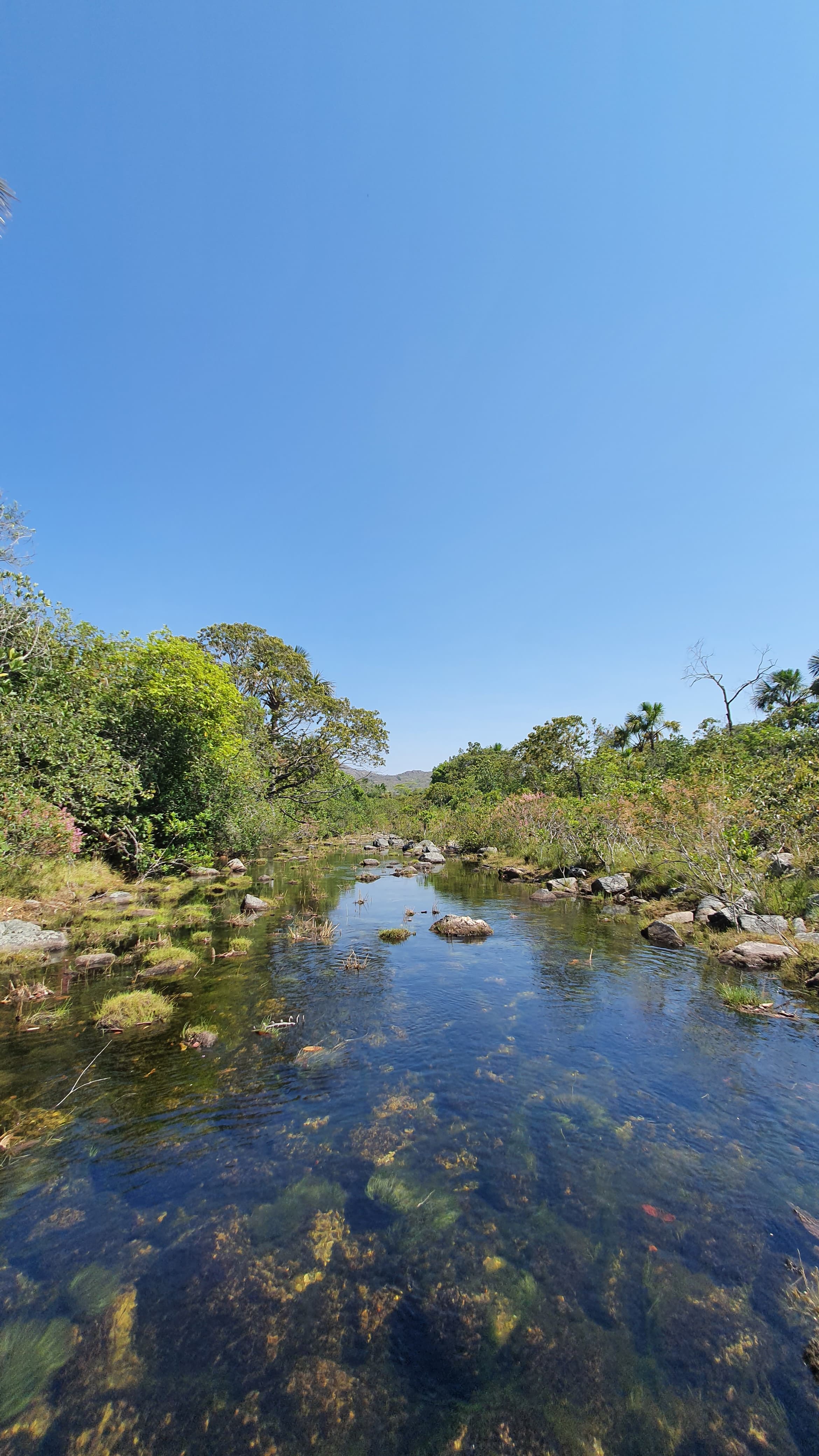 Rio de Pedras, ao fundo da Chácara Cajuí