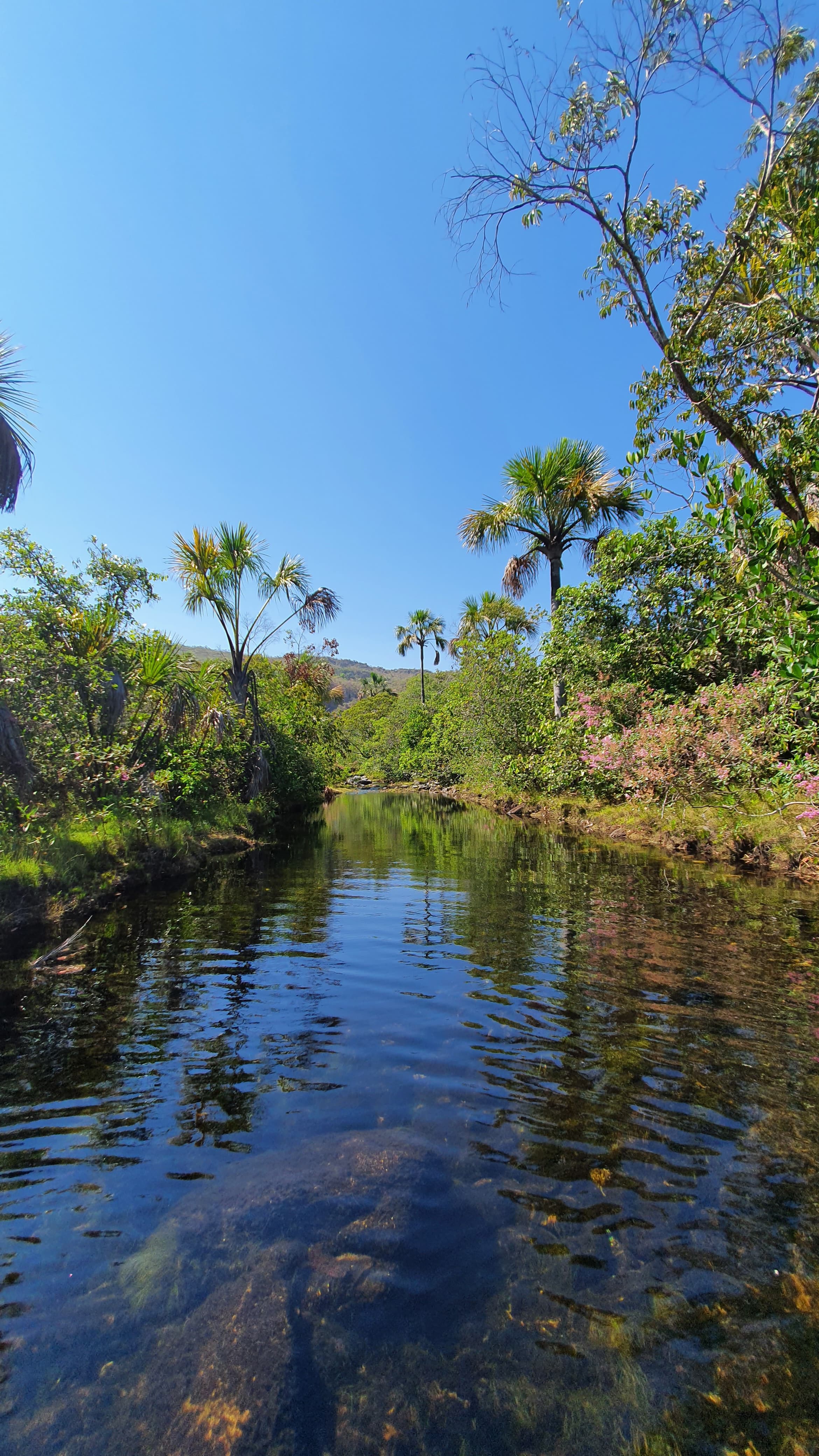 Rio de Pedras, ao fundo da Chácara Cajuí