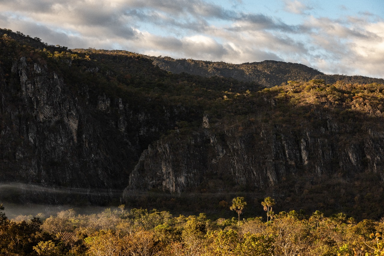 Chácara Cajuí